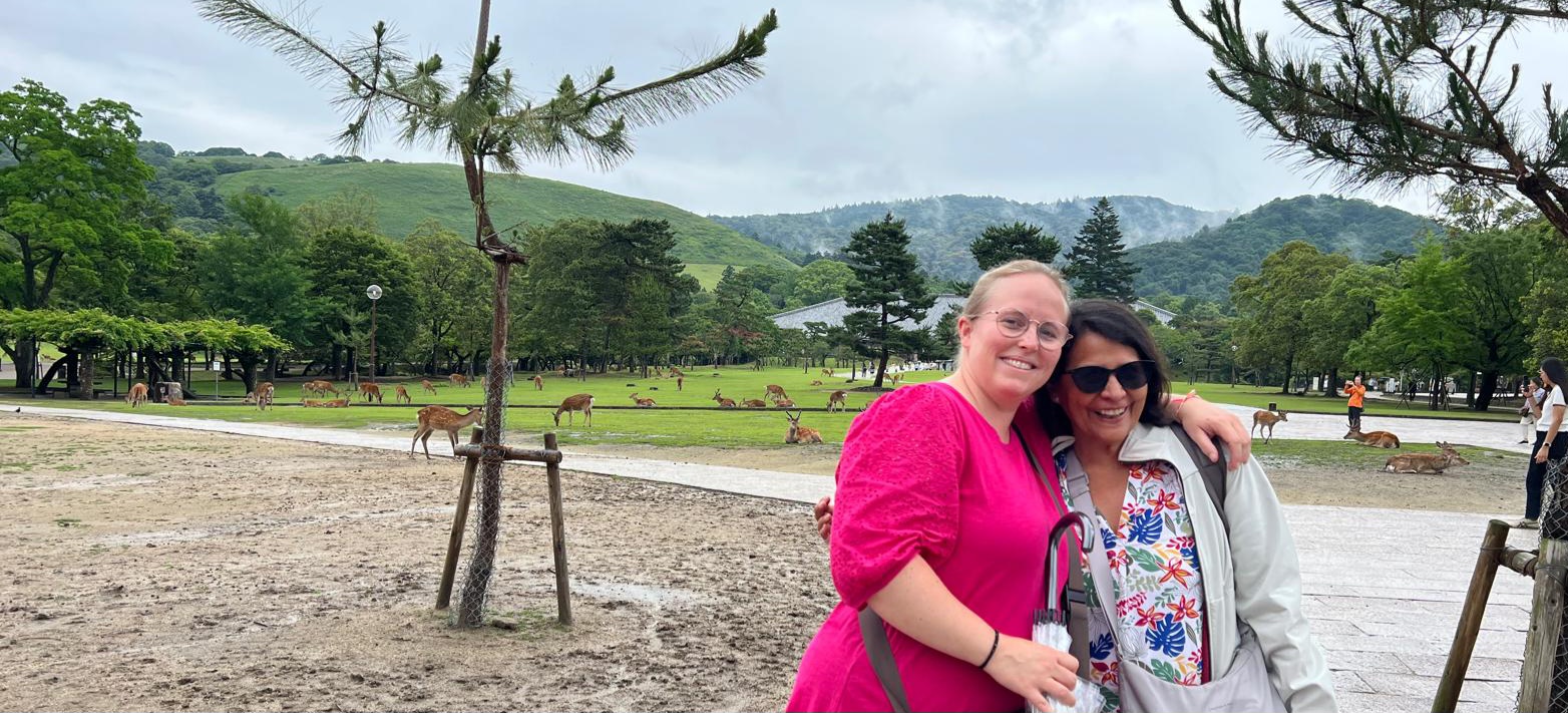 Ein Japan-Abenteuer in 6 Tagen – Auf den Spuren von Tradition und Innovation