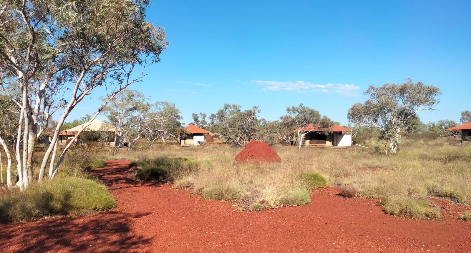 Westaustralien – Von weißen Stränden zu roten Schluchten