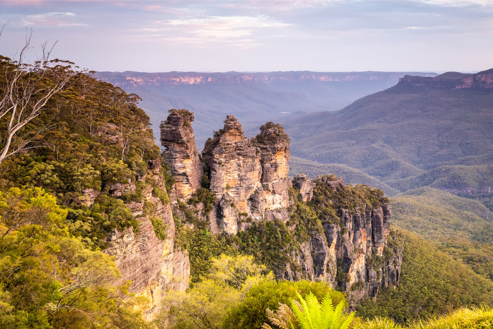 Blue Mountains