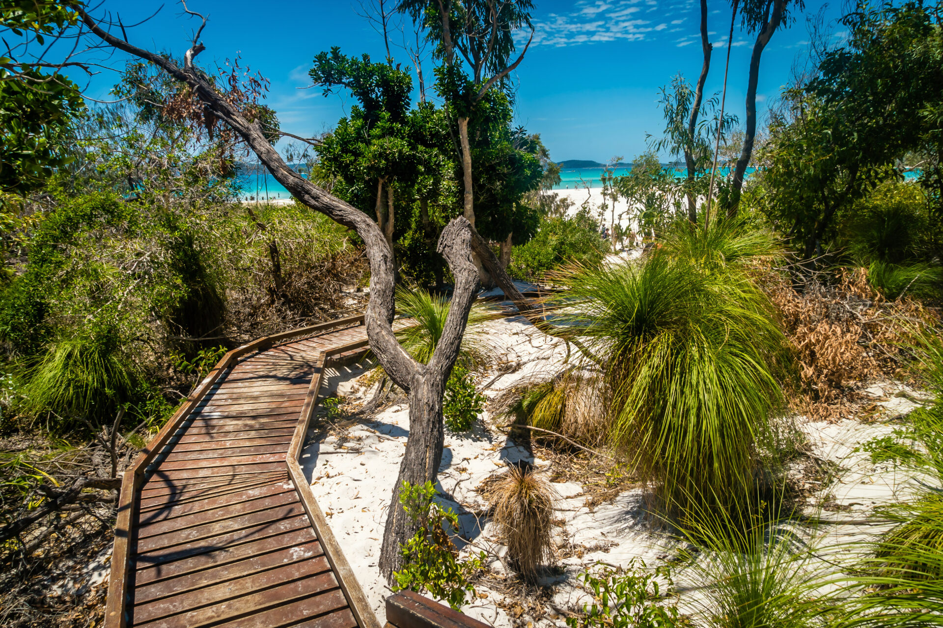 Whitehaven Beach