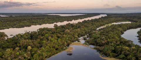 Amazonas