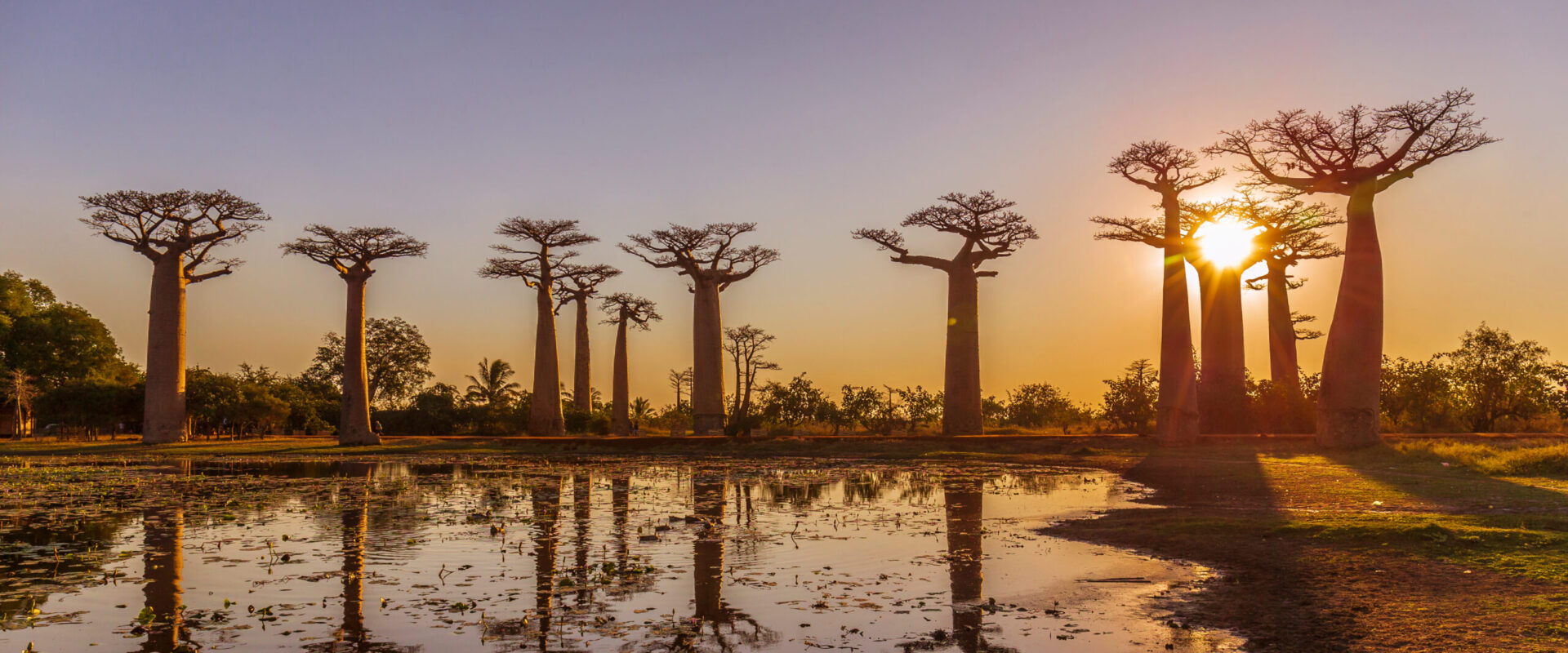 Madagaskar – Trauminsel vor der Küste Afrikas