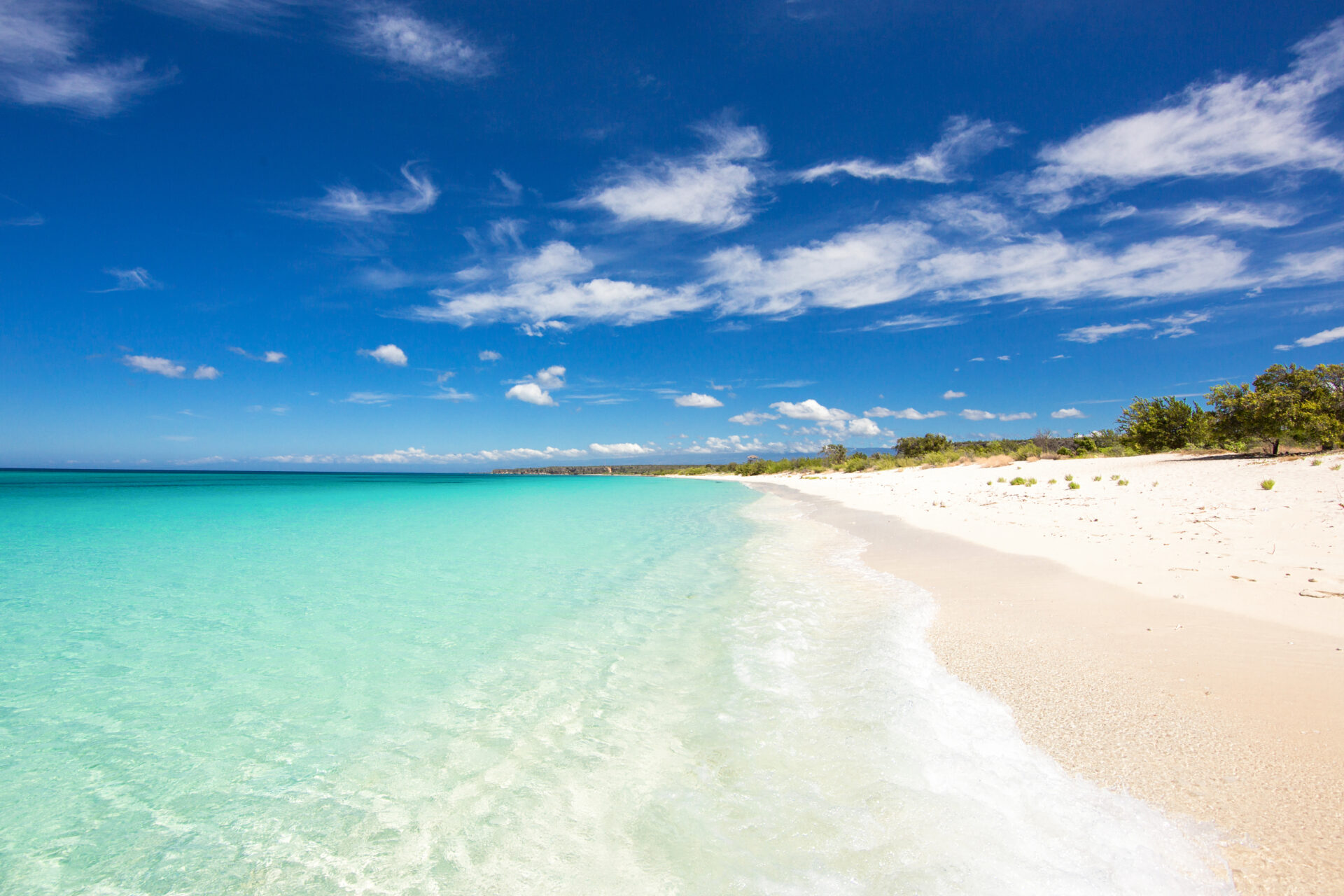 Bahia de las Aguilas