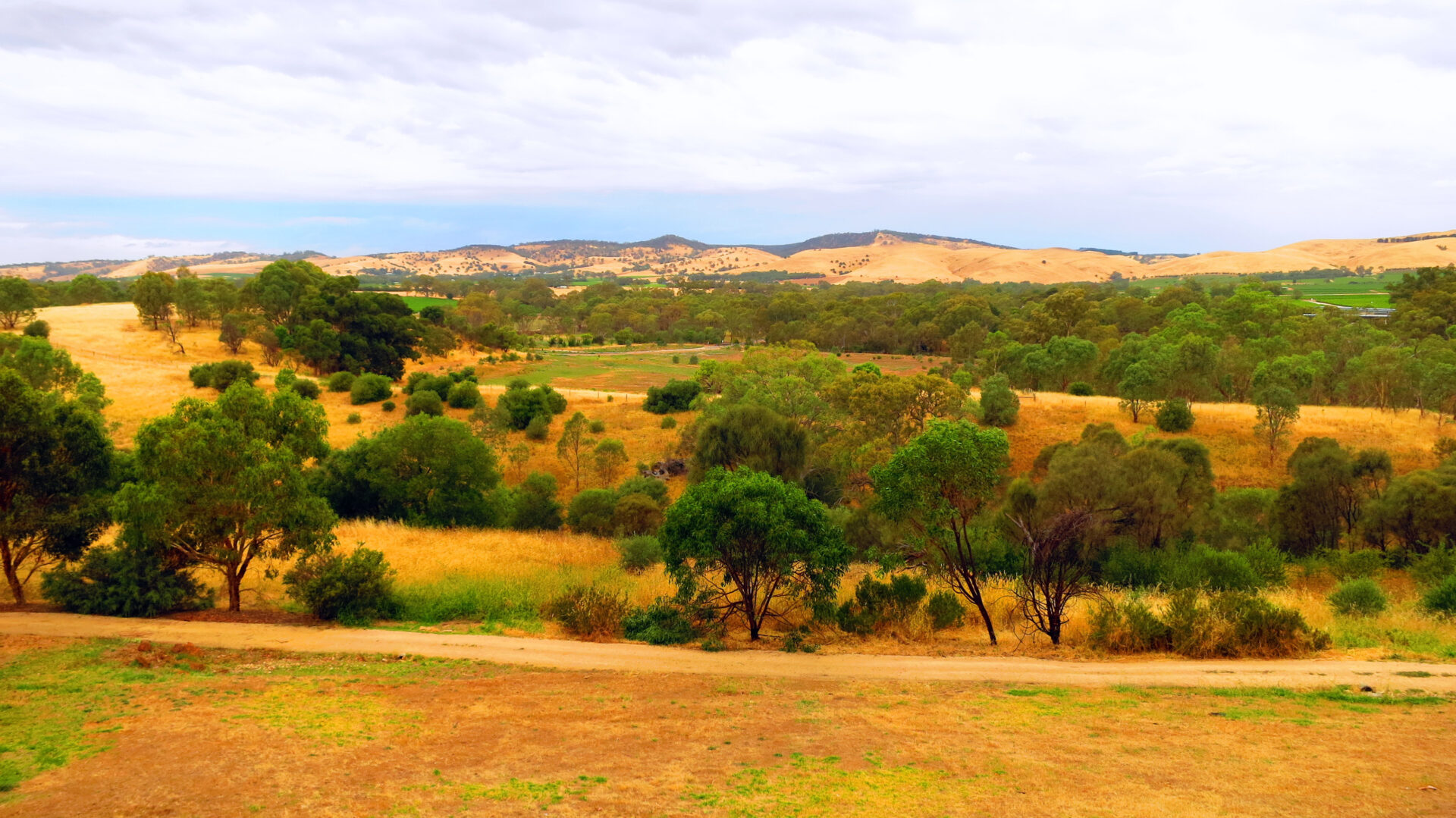 Barossa Valley