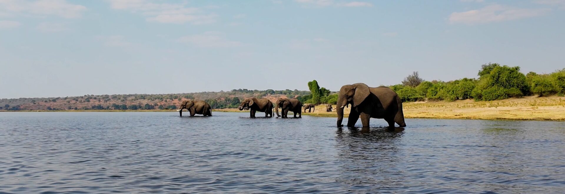 Namibia – Botswana & Victoria Falls „Abenteuer Afrika“ Termine 2026