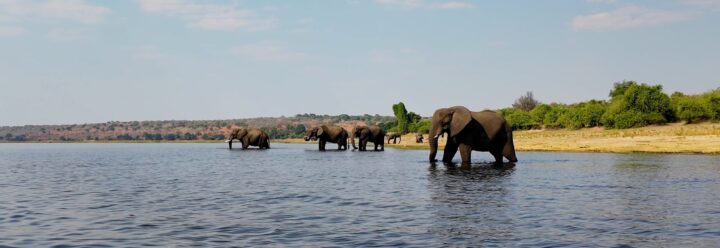 Abenteuer Afrika