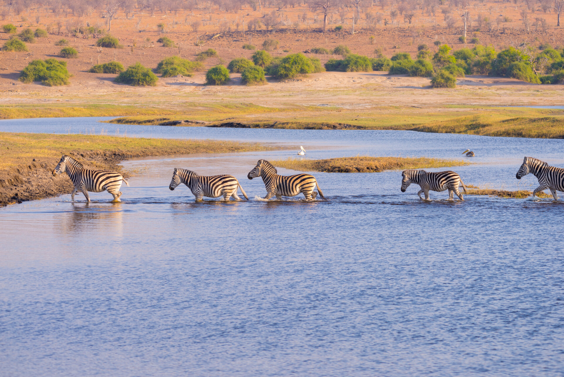 Chobe Nationalpark