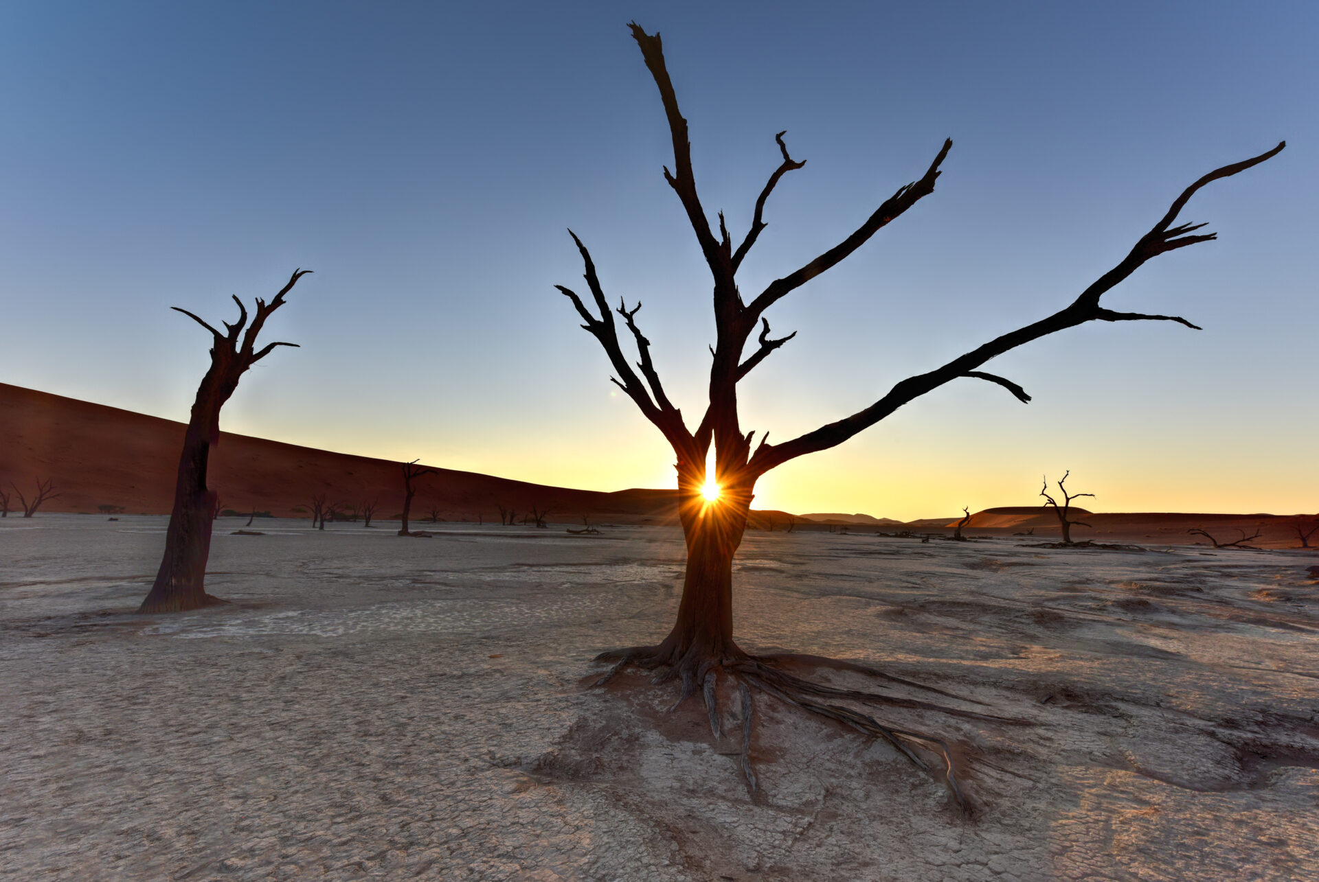 Sonnenaufgang am Dead Vlei