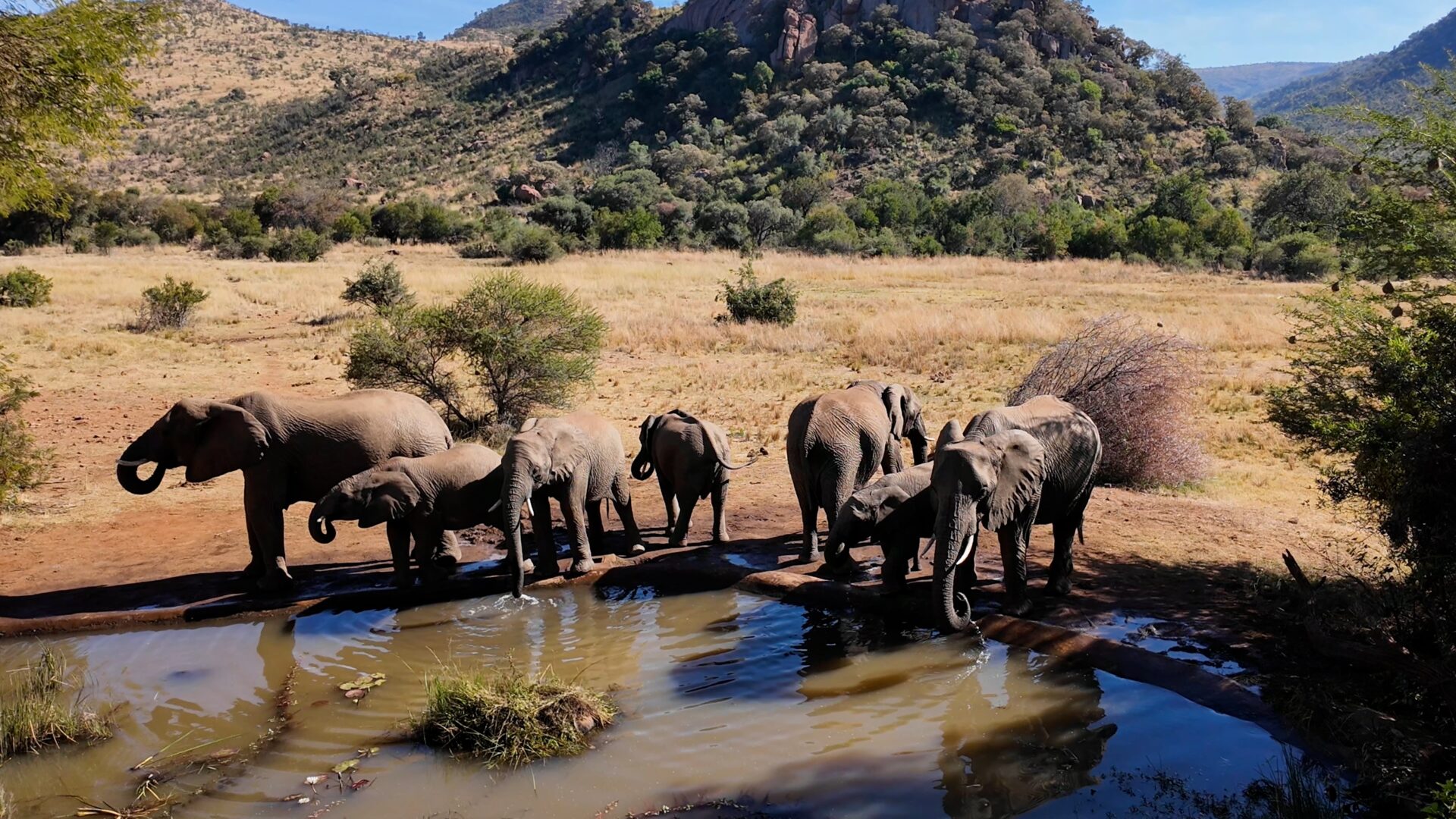 Etosha Nationalpark