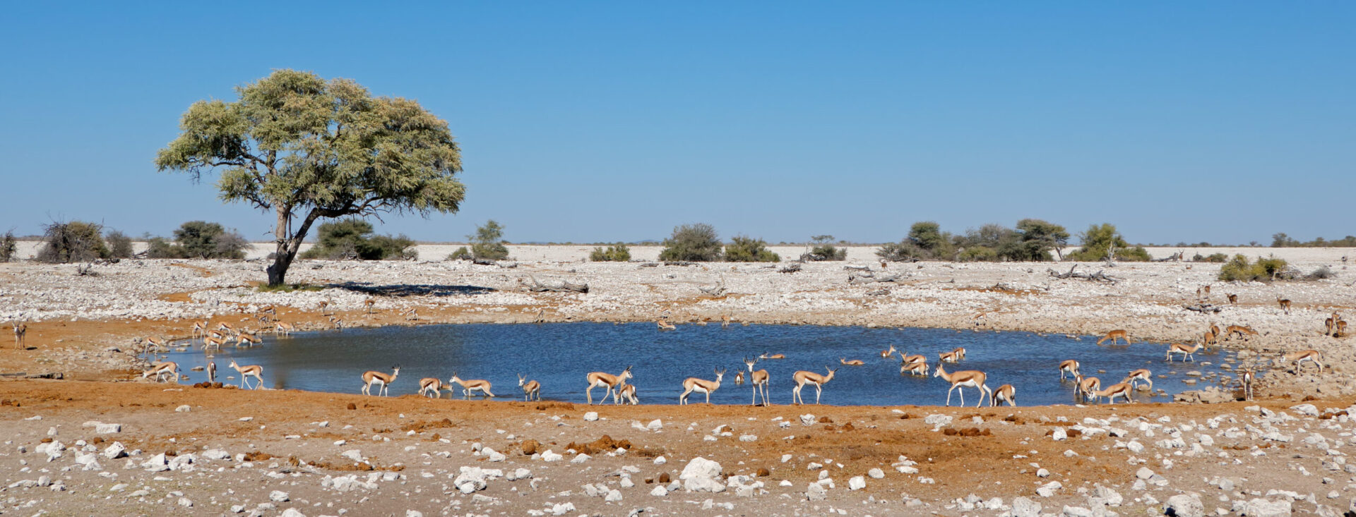 Naturspektakel Namibia und Botswana