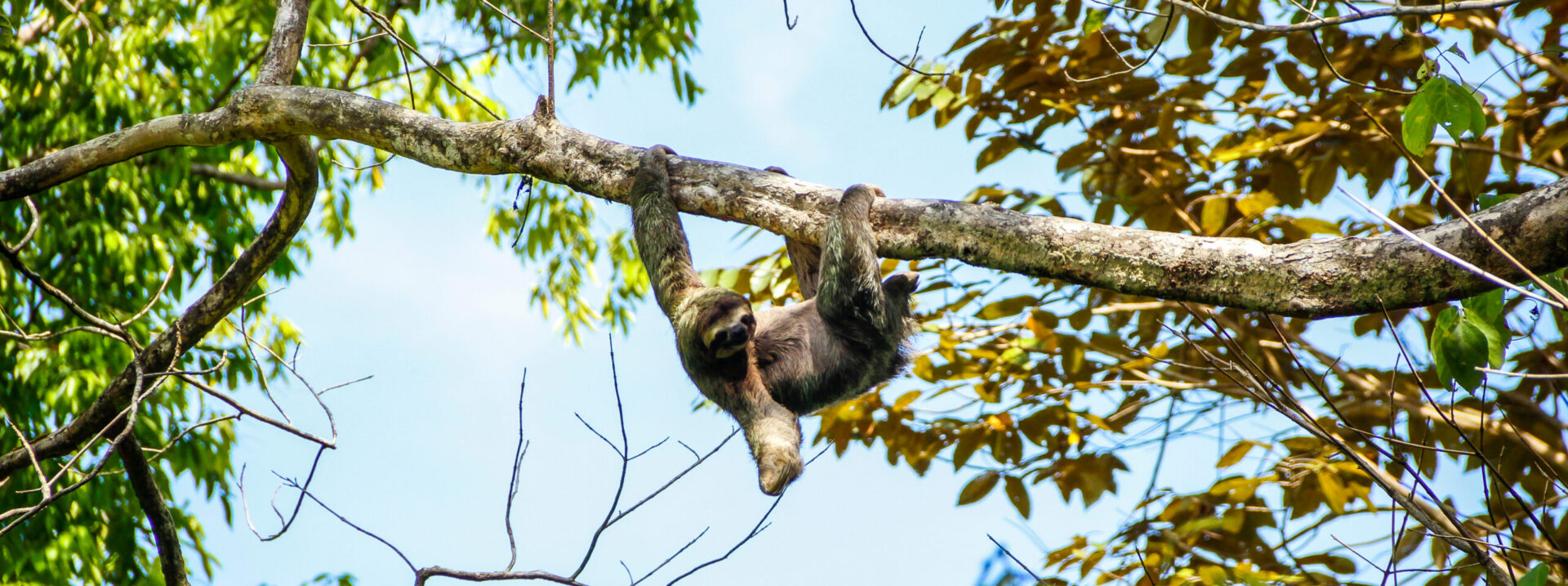 Costa Rica – einzigartige Naturparadiese