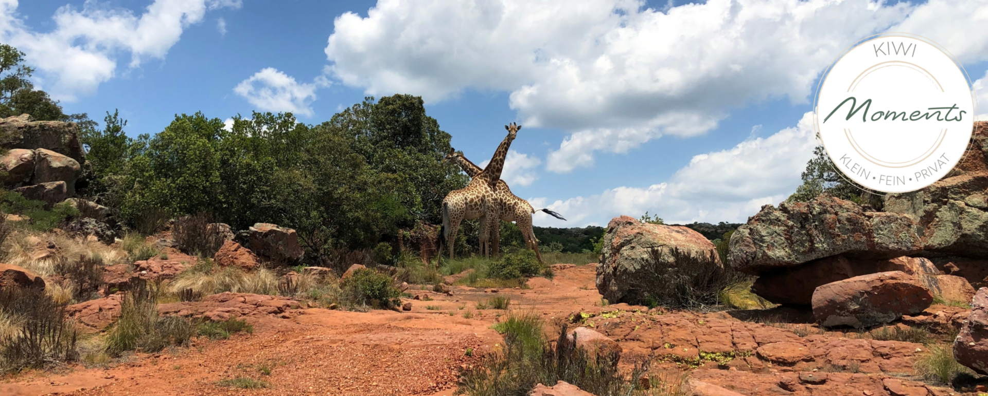 Südafrika – Natur- und Wilderlebnis pur