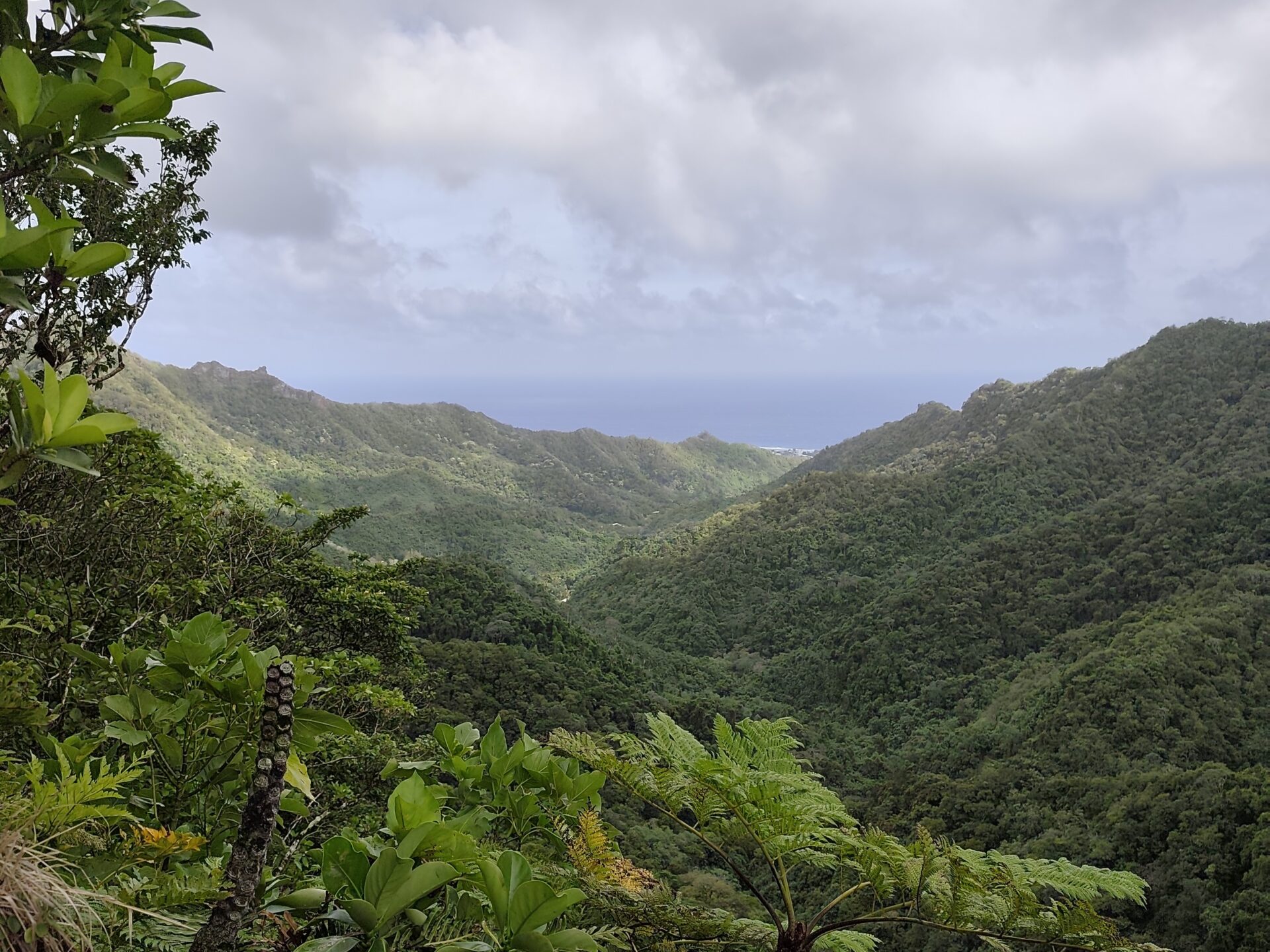 Panoramablick vom Cross-Island-Track auf Rarotonga über grüne Berge, Tal und Pazifik-Ozean – atemberaubender Aussichtspunkt auf den Cookinseln. 
