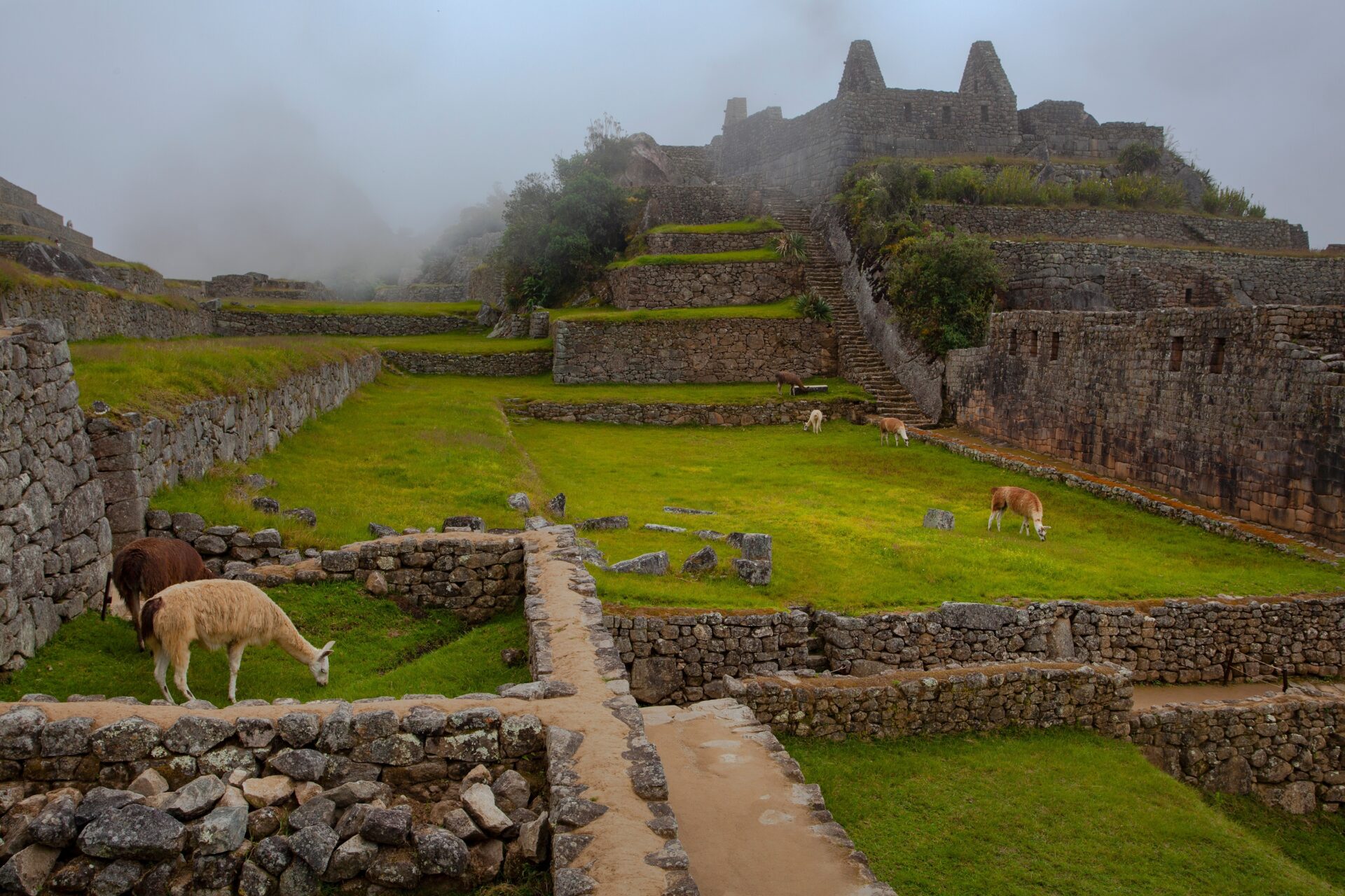 Machu Picchu