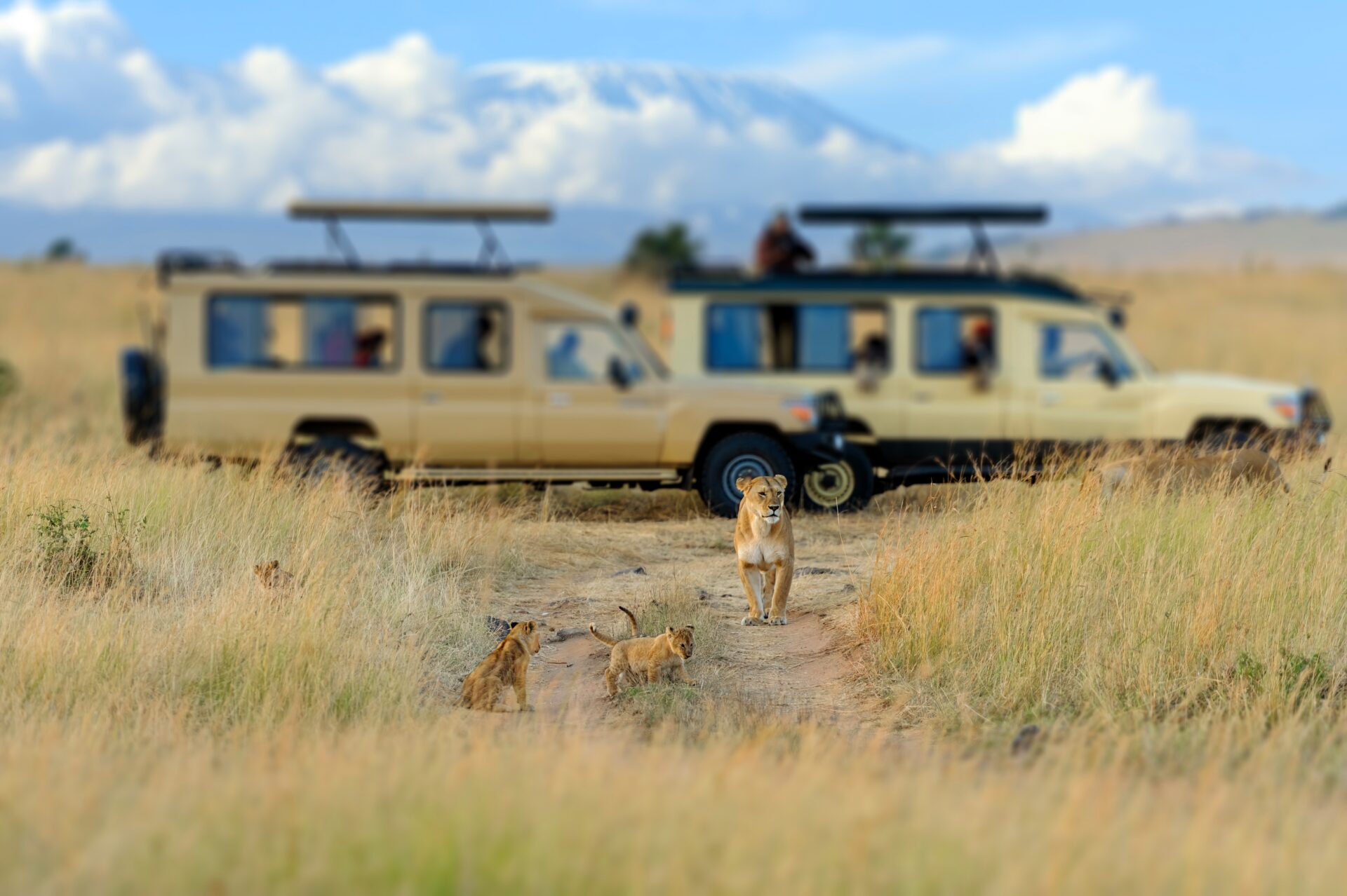 Masai Mara