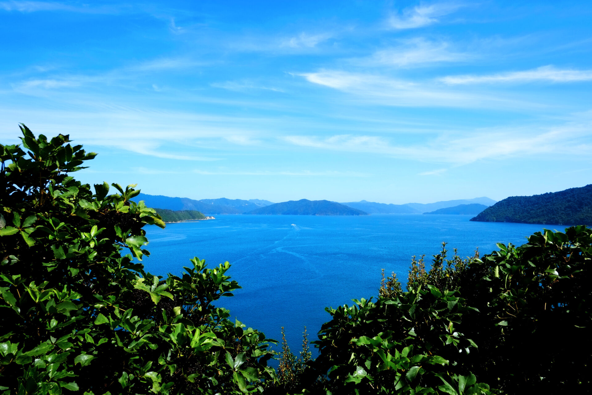 Motuara Island