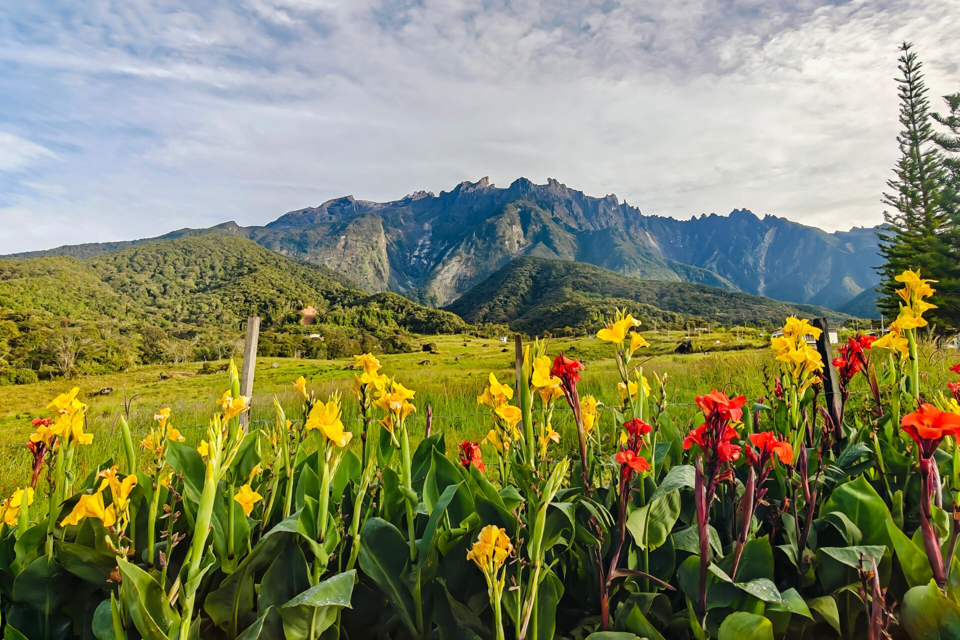 Mount Kinabalu