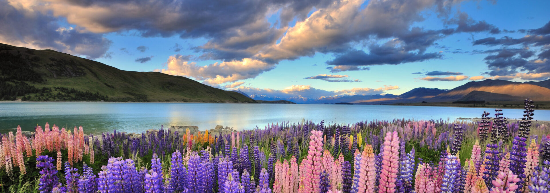 Neuseeland „Faszinierende Südinsel – Zwischen Abel Tasman und Fjordland“ 2026/2027