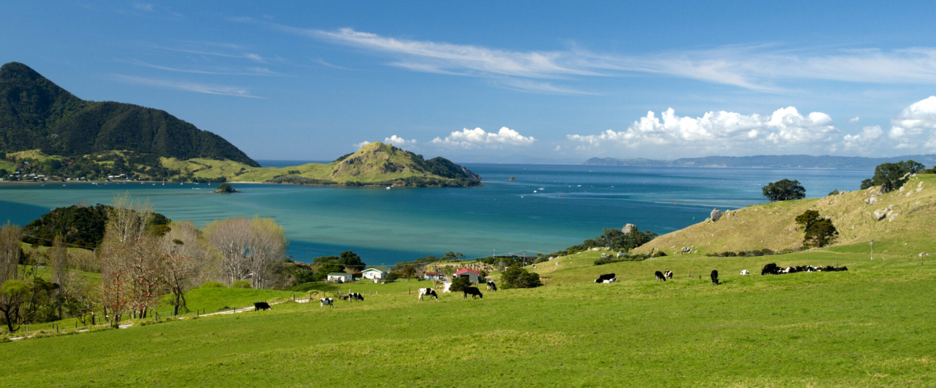 Höhepunkte Neuseelands mit Sydney