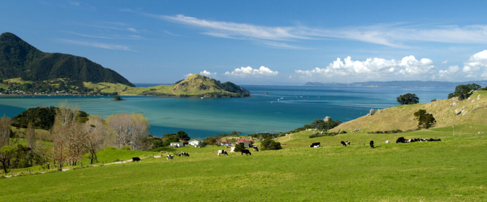 Whangarei Heads