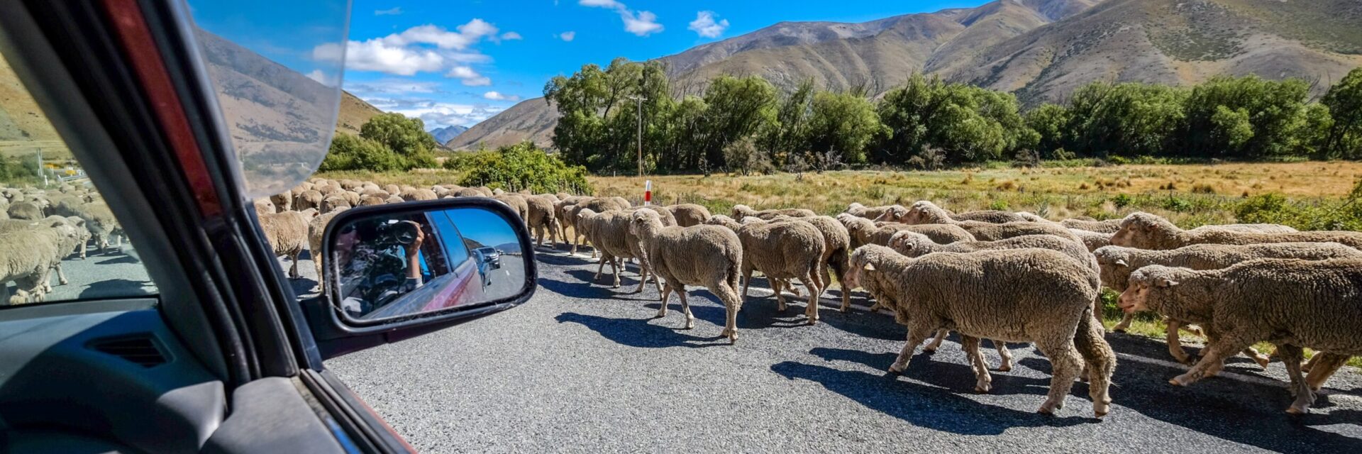 Neuseeland „mit Charme und Stil“ 2026/2027