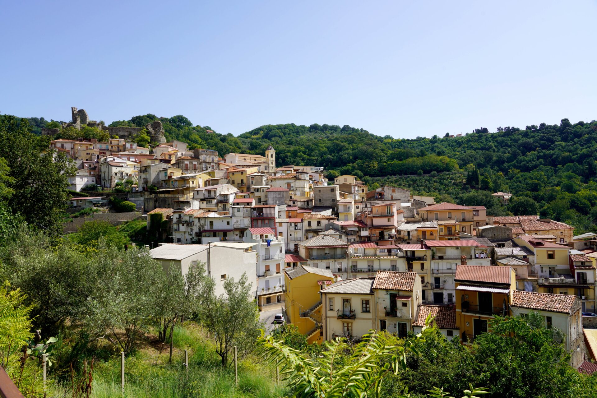 Nicastro