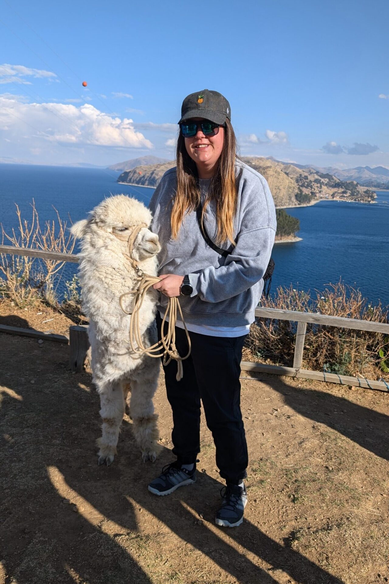 Alpaka auf der Sonneninsel