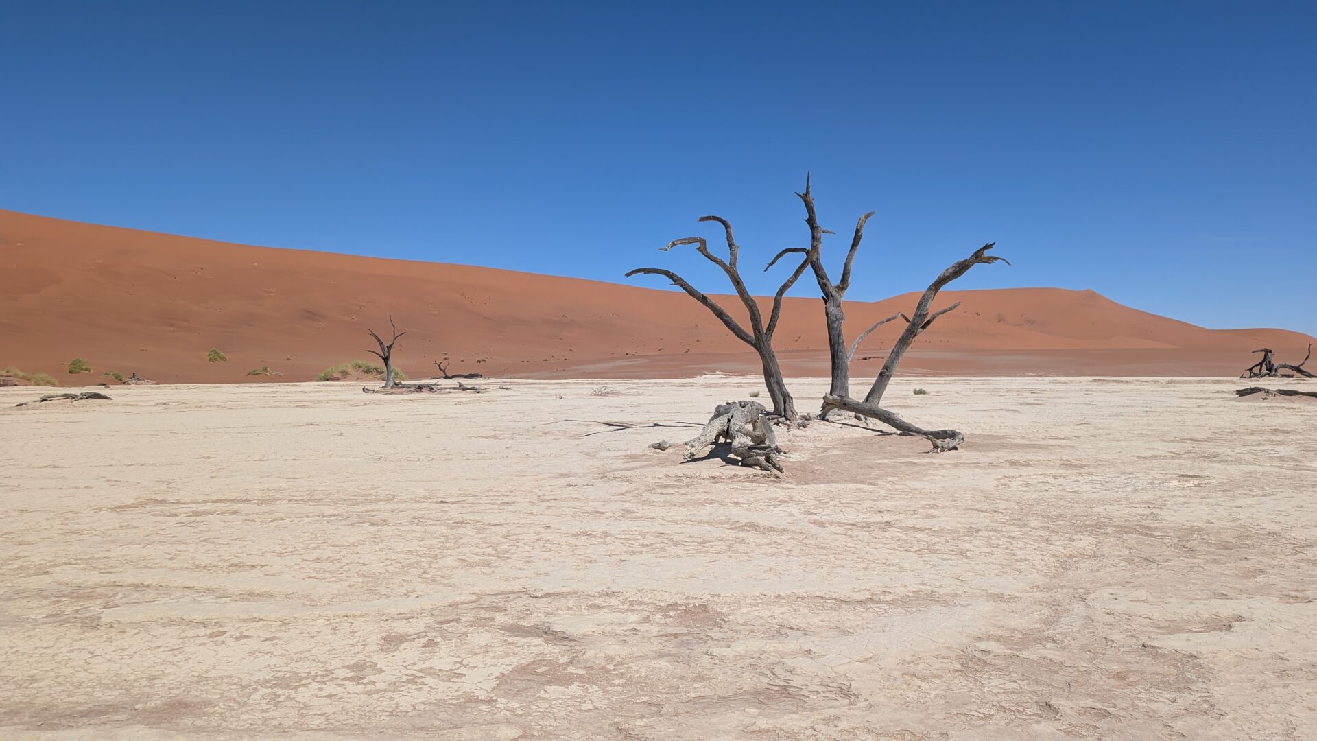 Deadvlei