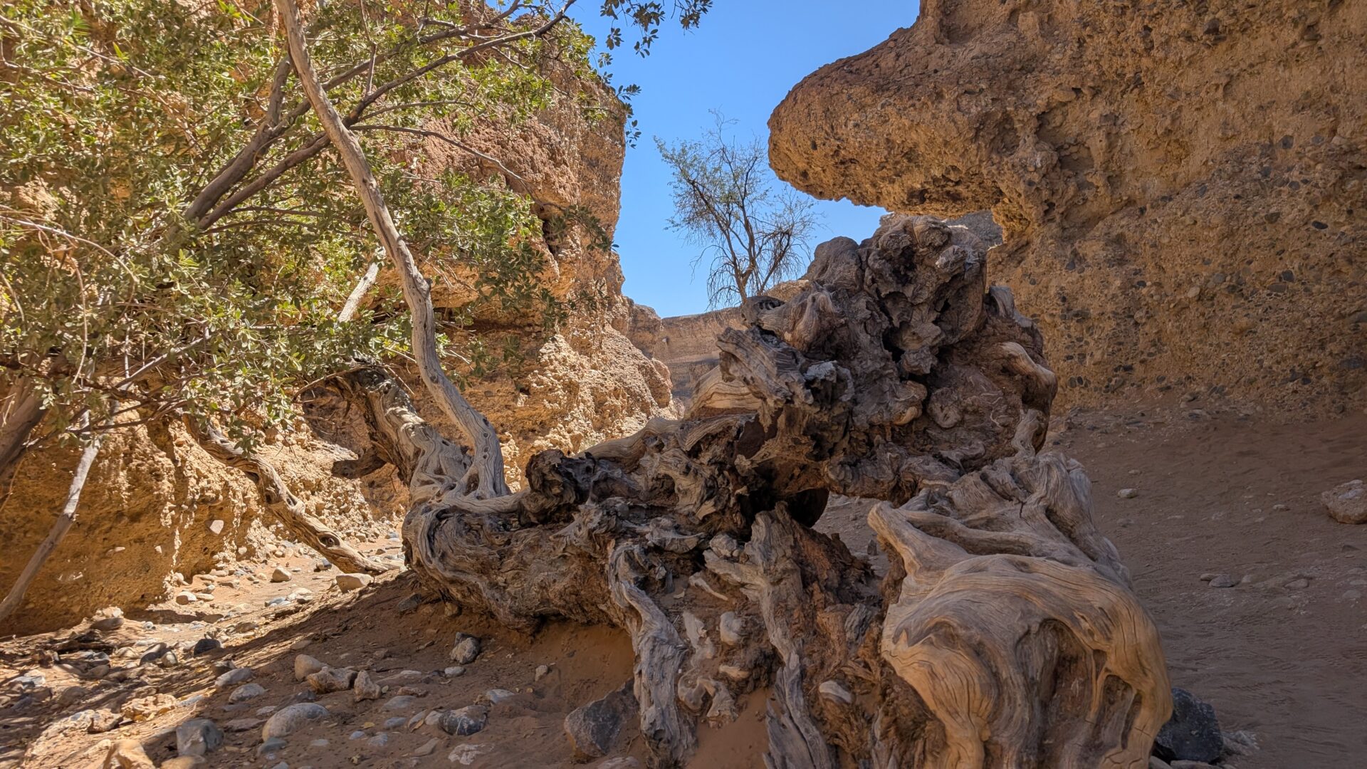 Sesriem Canyon