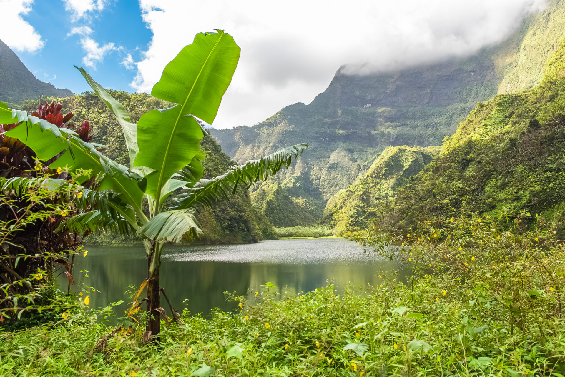 Papenoo Valley in Tahiti
