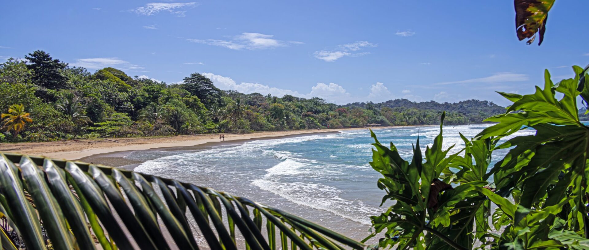 Costa Rica & Panama „Nebelwald, Karibik & Panamakanal“ Termine 2026/2027