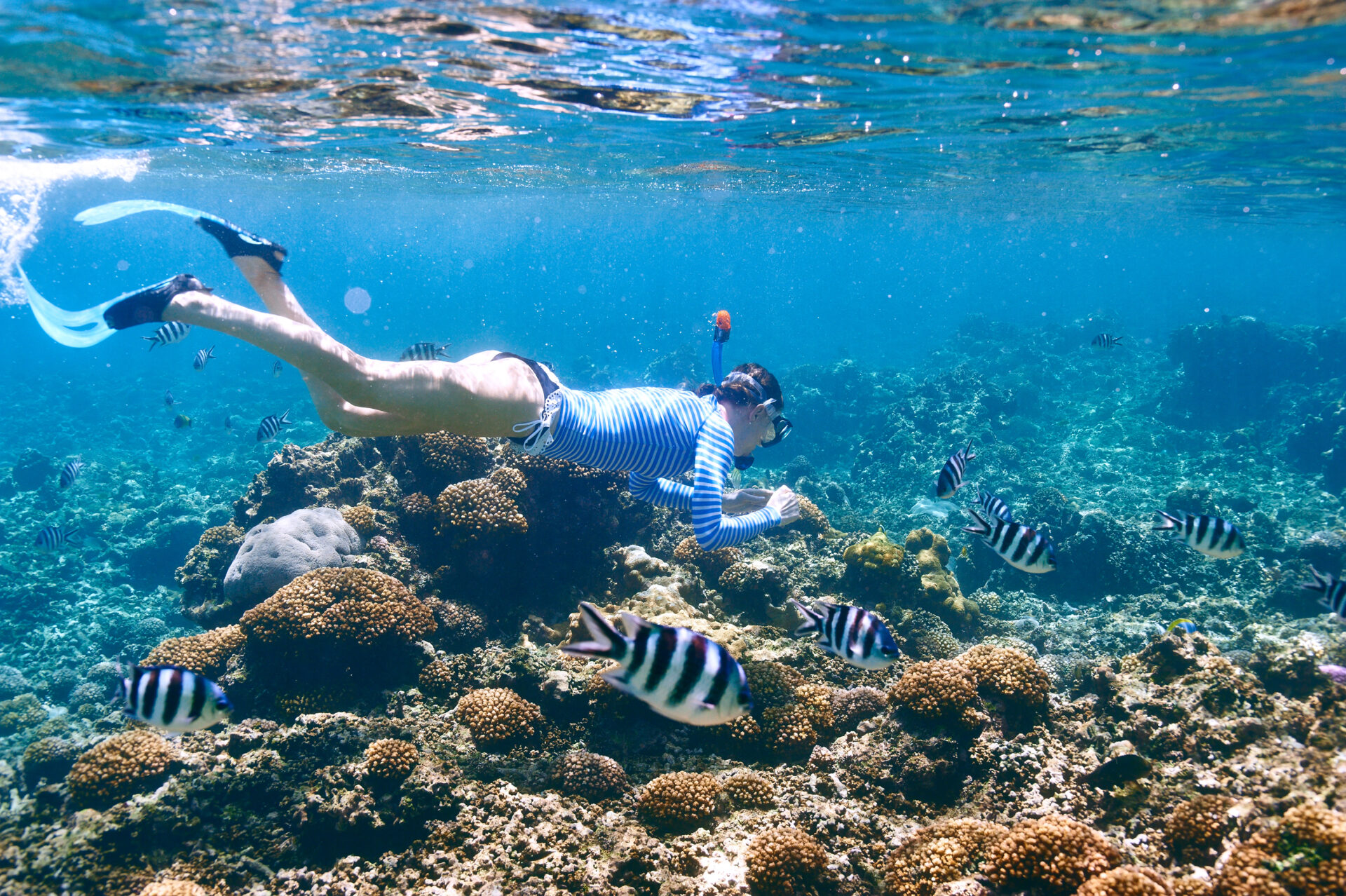 Schnorcheln auf den Seychellen