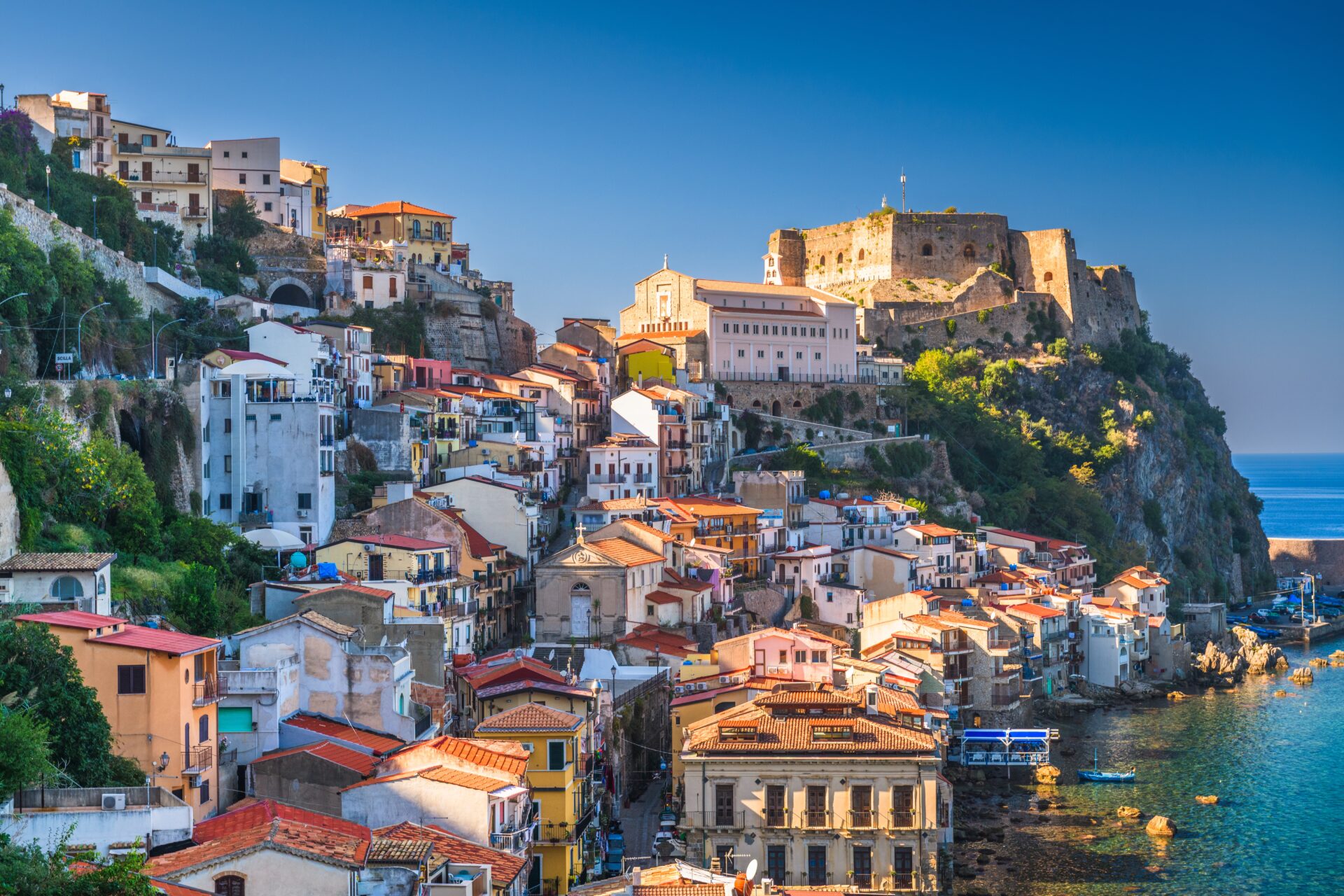 Scilla