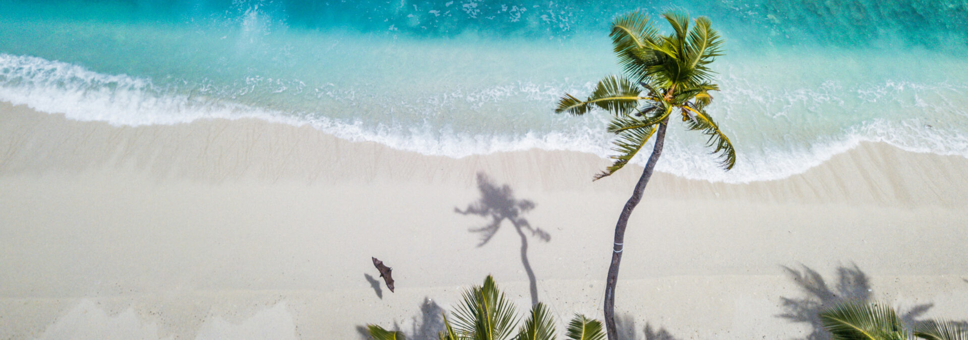 Seychellen „Reise mit Sea Star & Sea Bird durch die schönsten Buchten“ Termine 2026