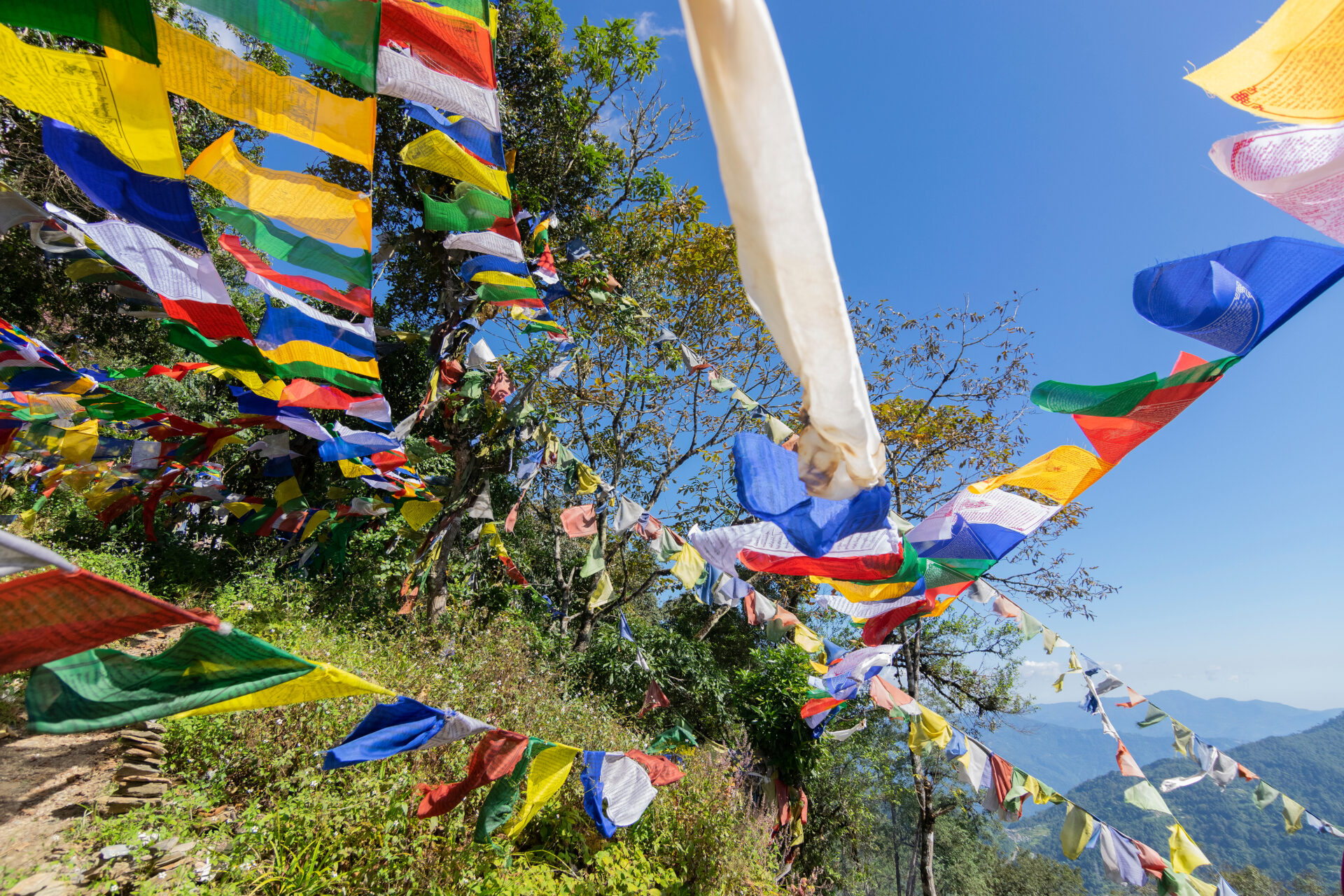 Gebetsfahnen in Sikkim