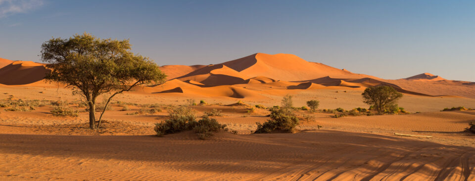 Sossusvlei