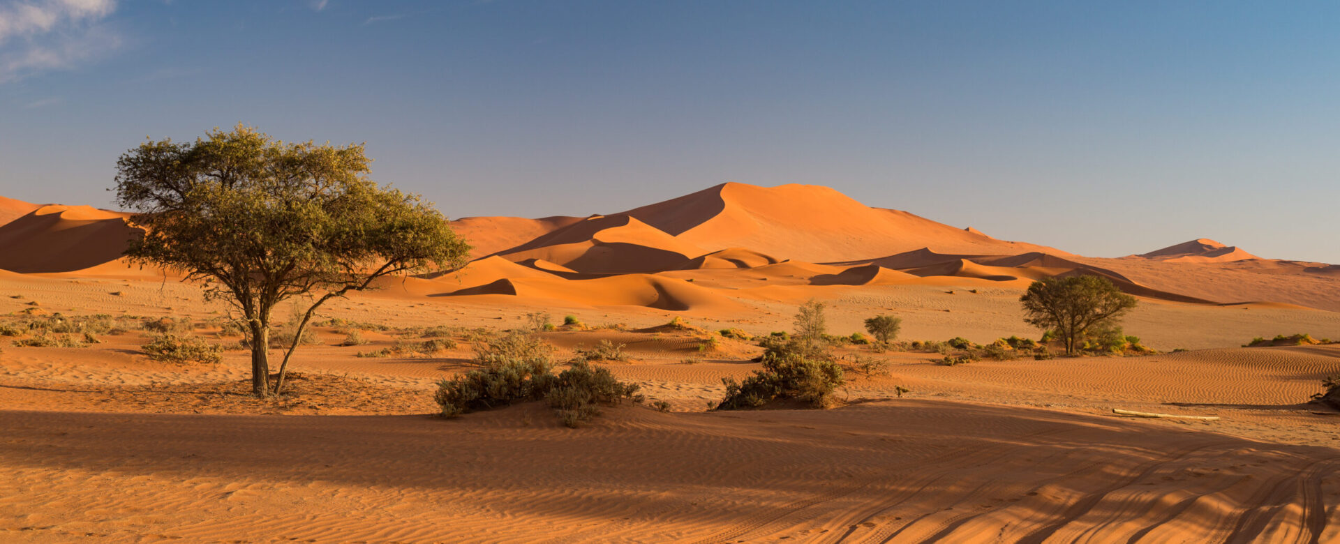 Namibia „Durch die Wüste zum Atlantik“ Termine 2025/2026