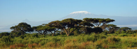 Kilimanjaro