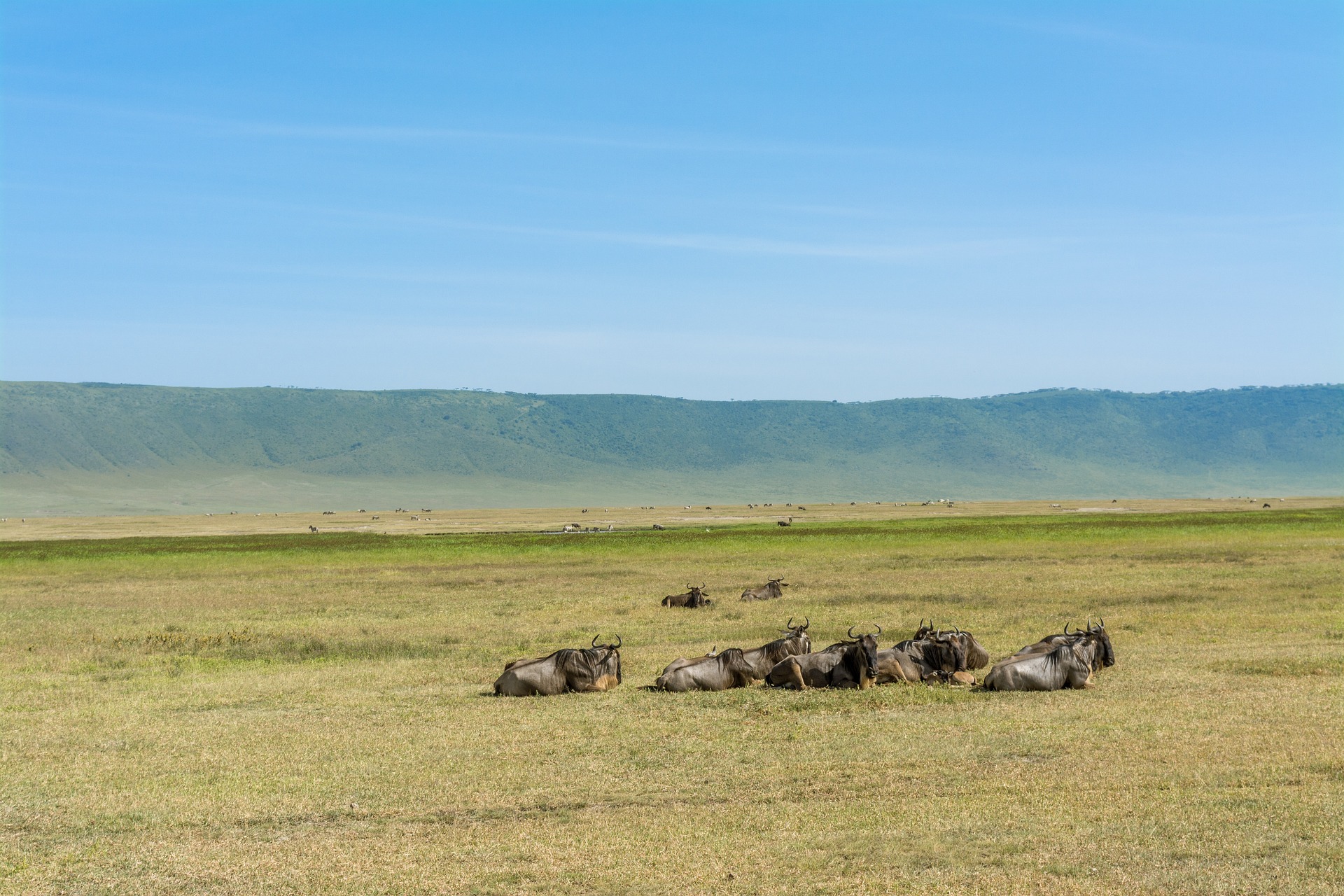 Ngorongoro Krater