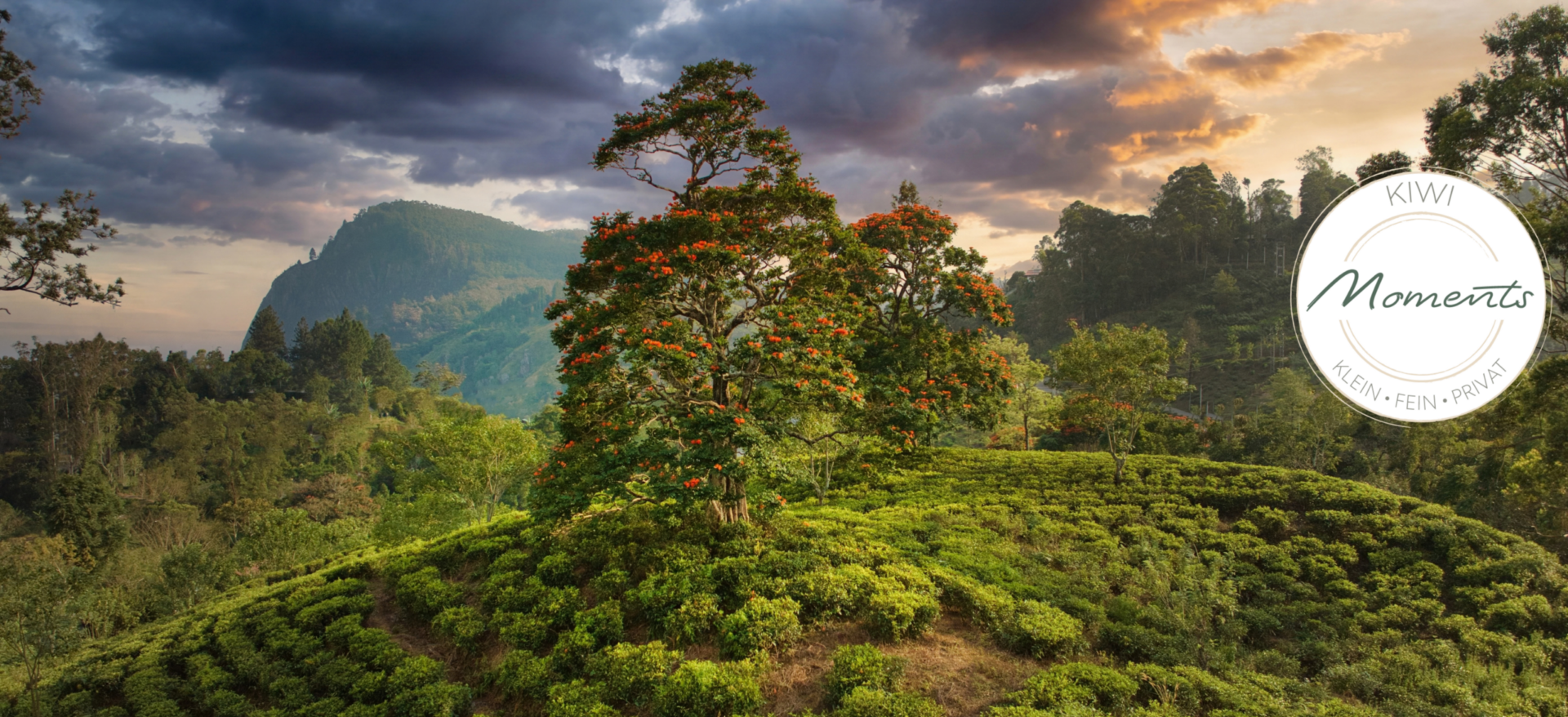Sri Lanka – Eine Insel, viele Augenblicke