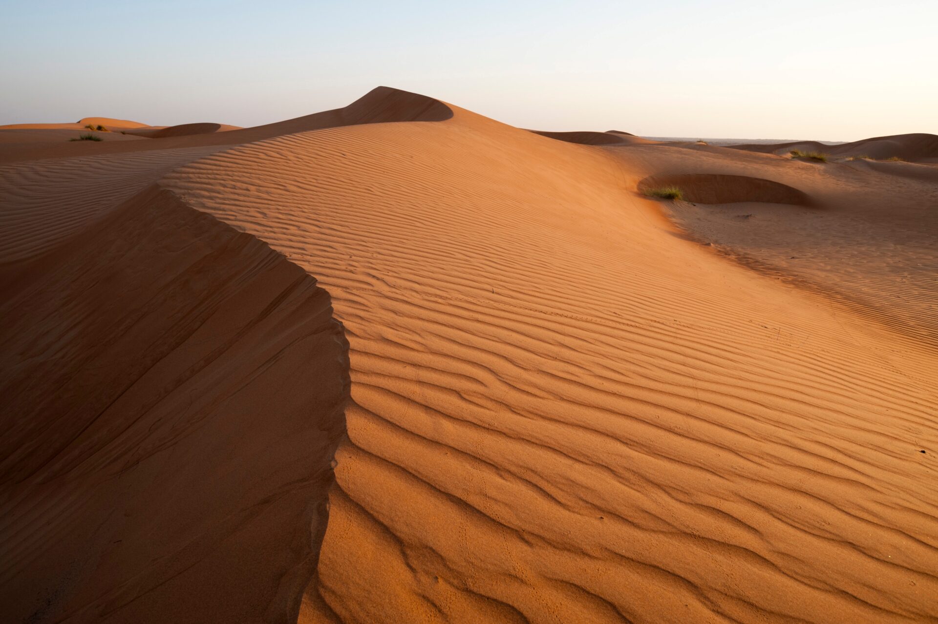 Wahiba Sands