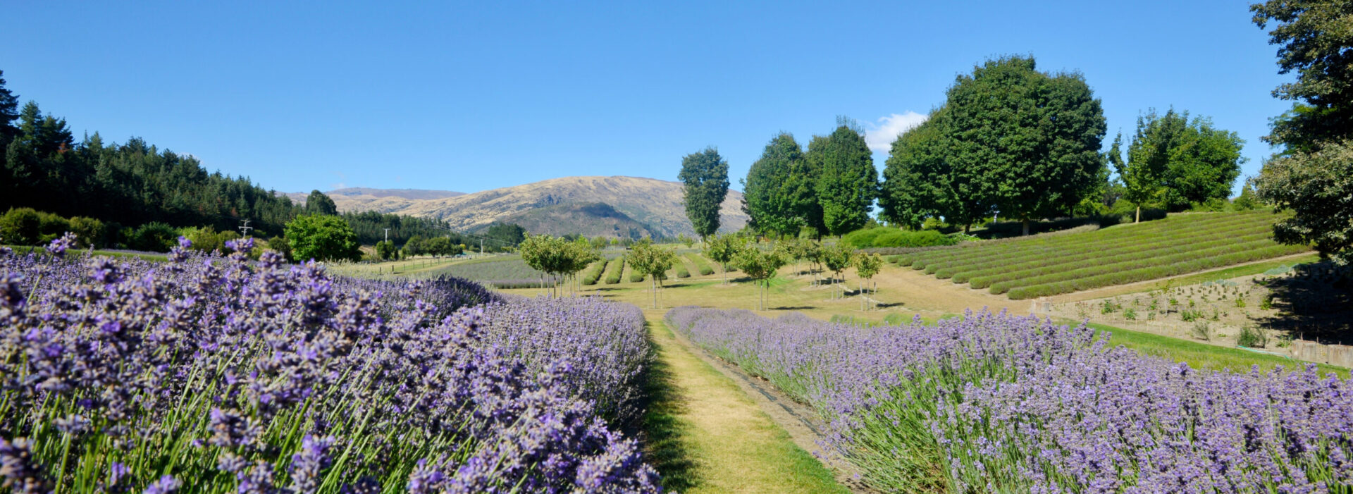 Neuseeland beyond the Ordinary – Exklusiv und Unvergesslich