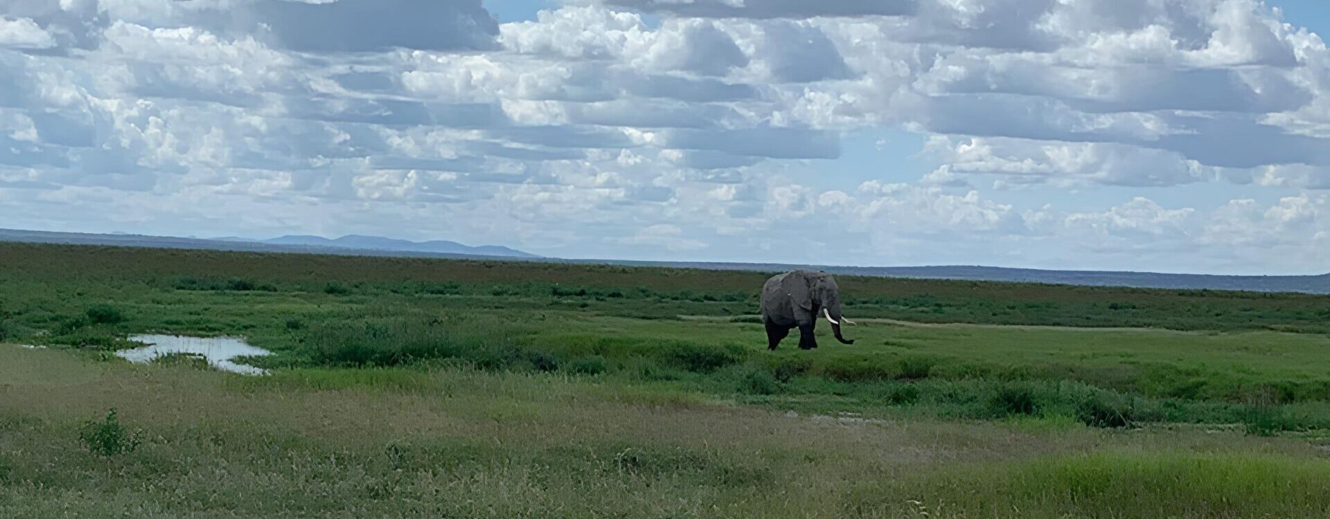 Kenia-Abenteuer – Safari, Kultur und die Magie der Wildnis