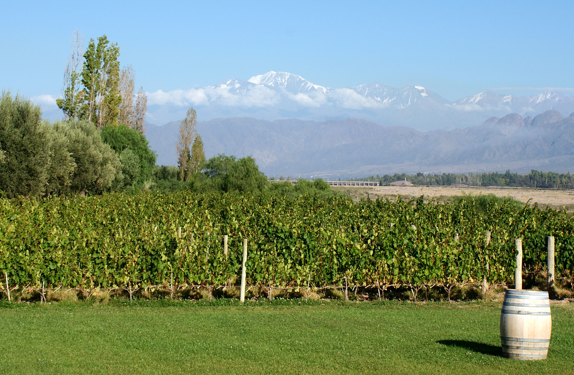 Argentinien Reise: Mendoza