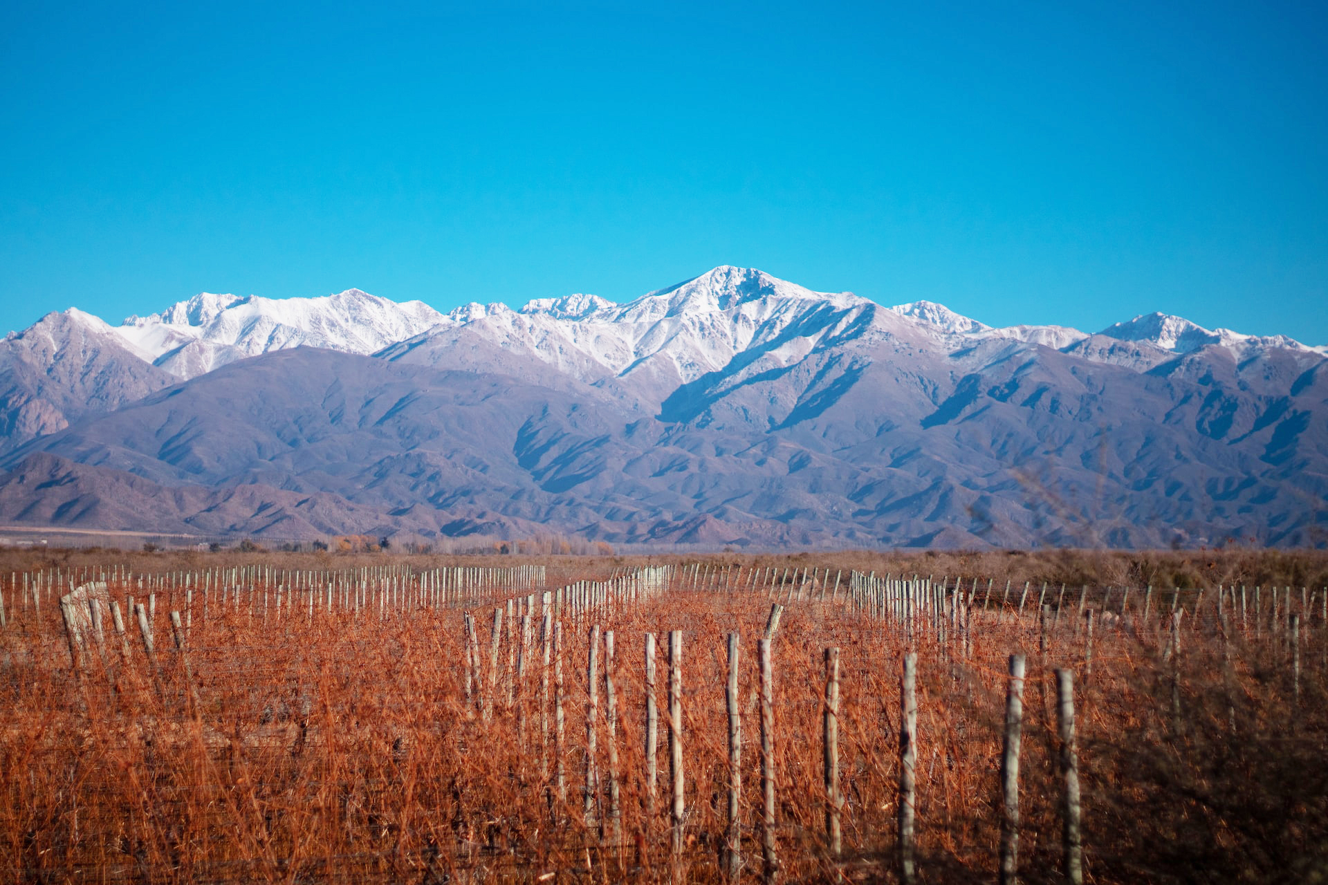 Argentinien Reise: Valle de Uco