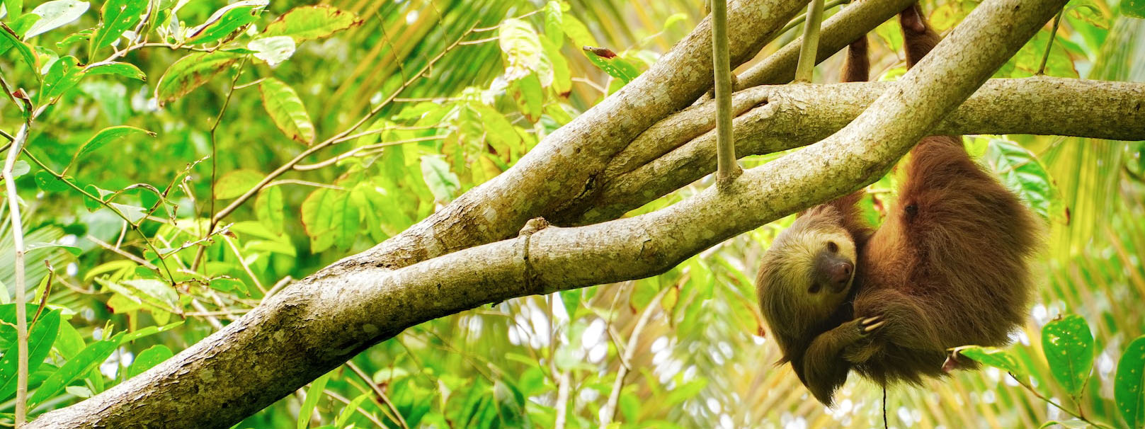 Costa Rica – einzigartige Naturparadiese