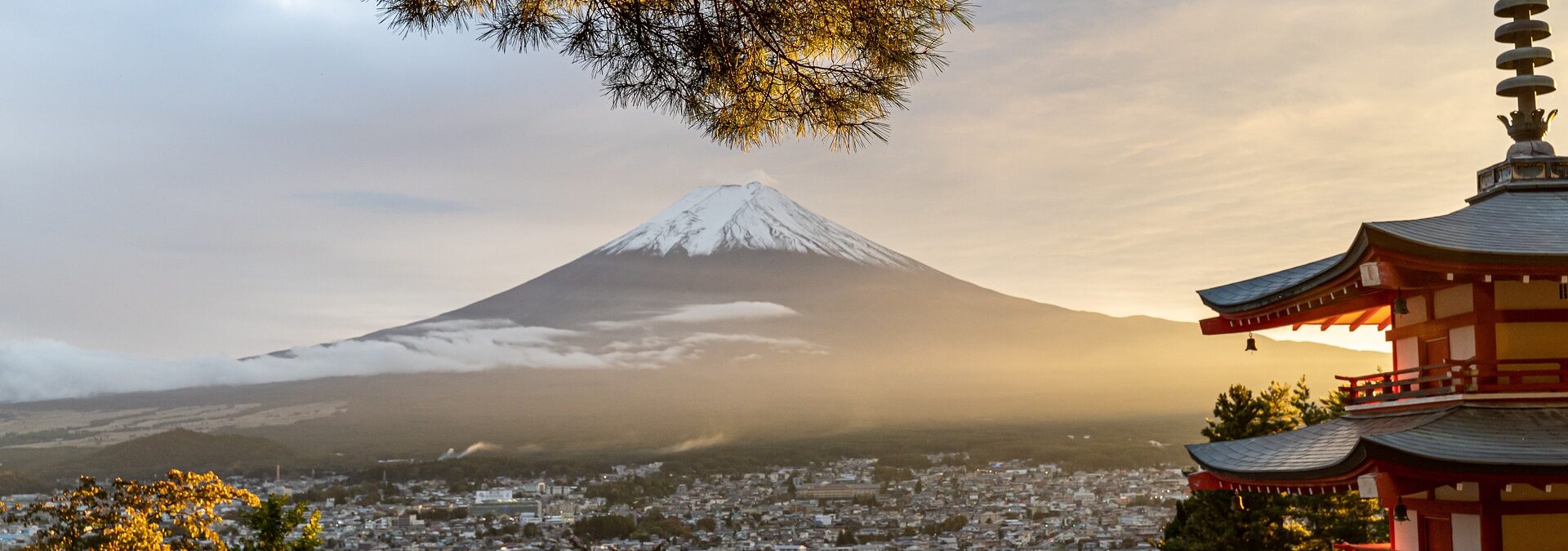 Japan „Bonsai“ Termine 2026