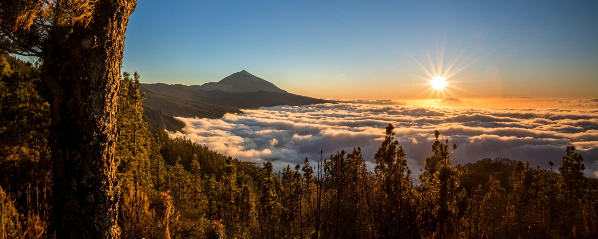 Spanien "Teneriffa individuell entdecken" 2025/2026