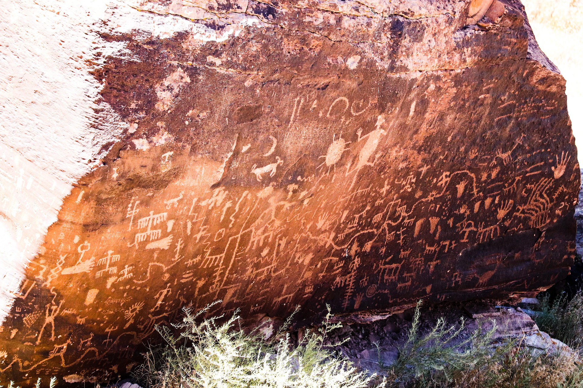 Petroglyph National Monument