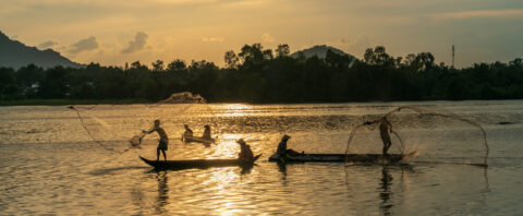 Mekong